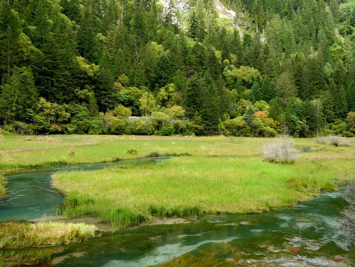 人间仙境  水中贵族---九寨沟（1）