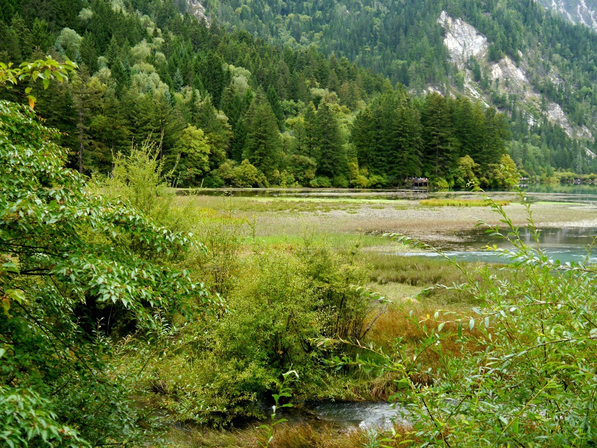 人间仙境  水中贵族---九寨沟（1）