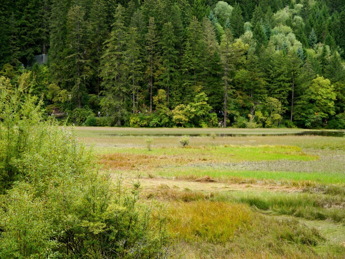 人间仙境  水中贵族---九寨沟（1）