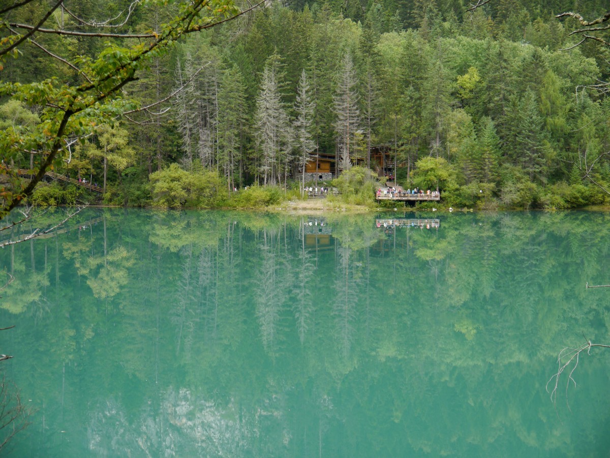 人间仙境  水中贵族---九寨沟（1）