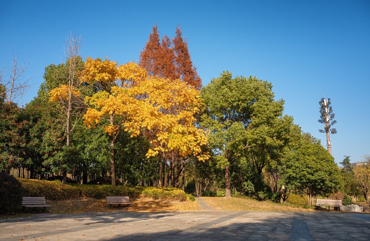 小景