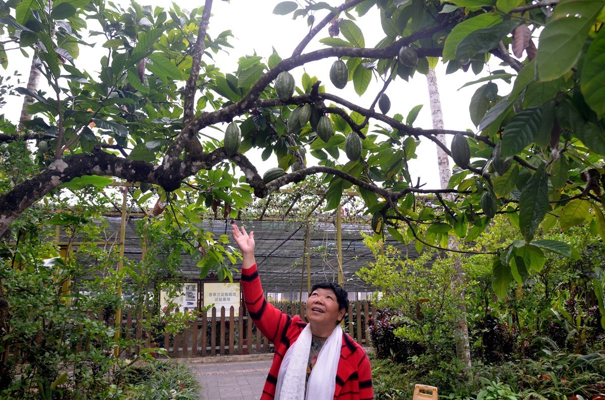 海南 兴隆热带植物园 (二)