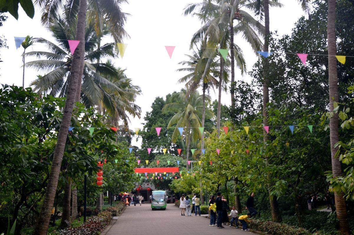 海南 兴隆热带植物园 (二)