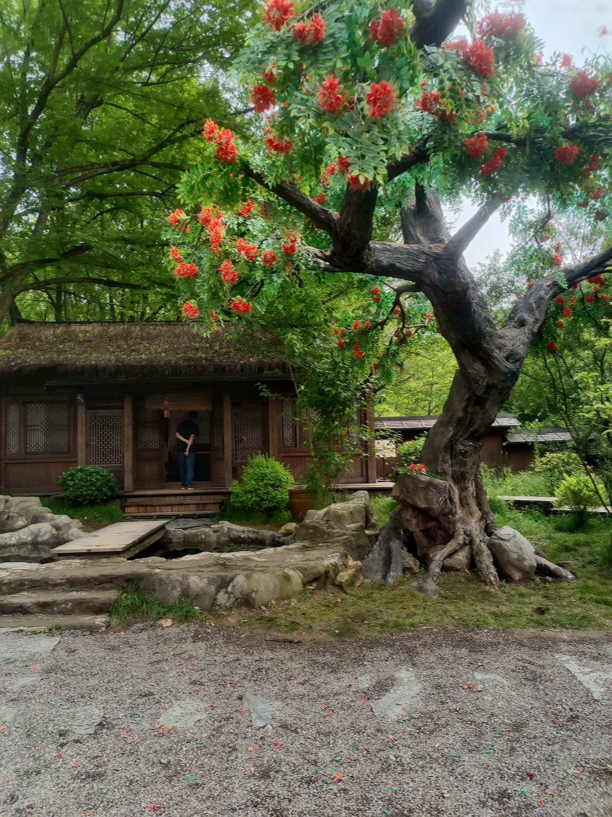 丽水——缙云仙都（3）