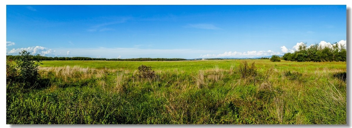 秋色原野（南德）