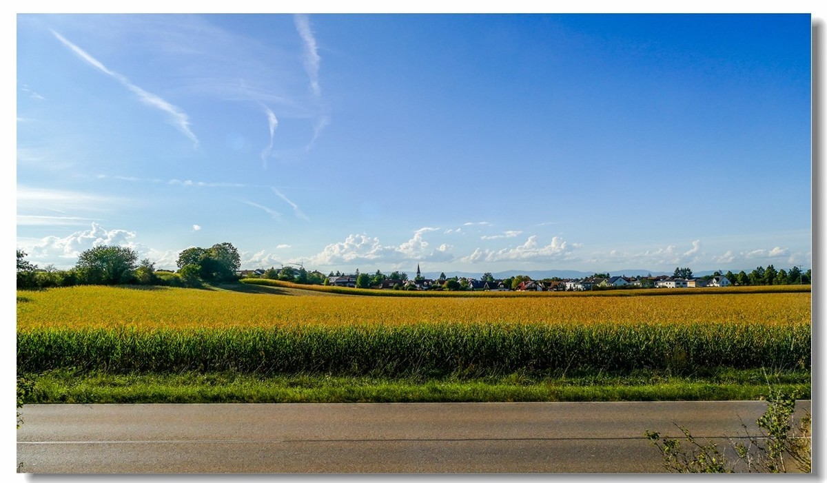 秋色原野（南德）