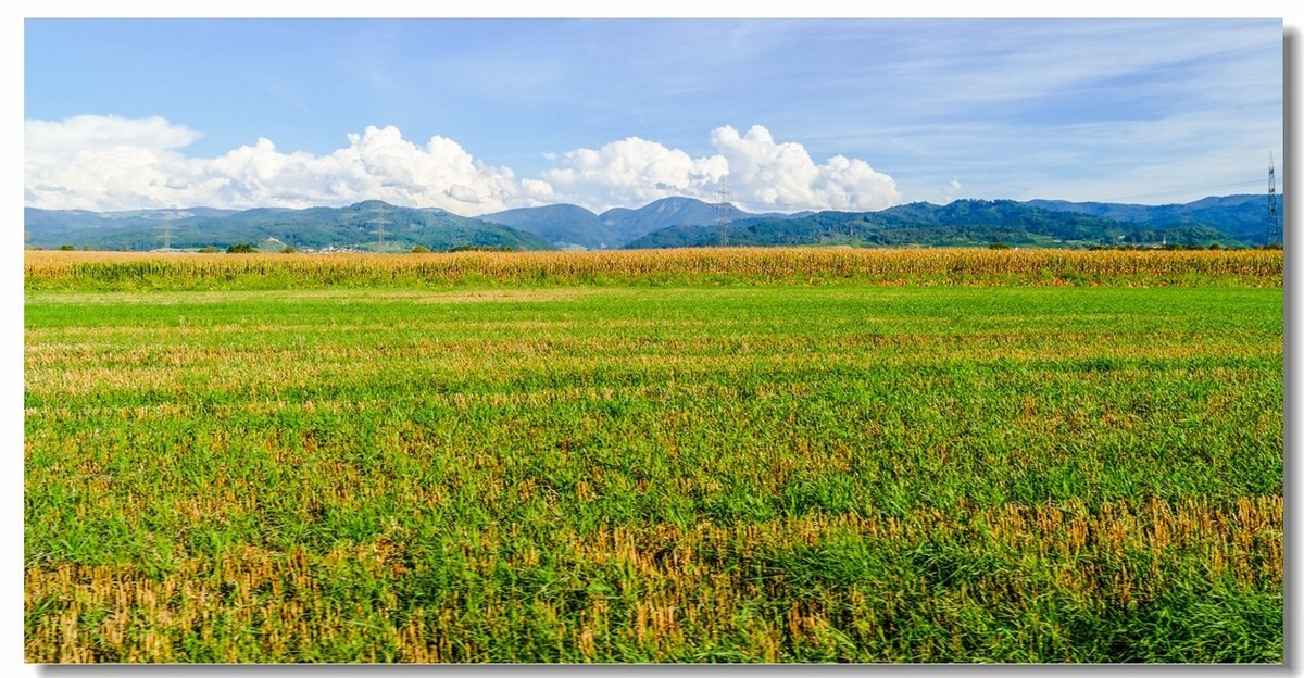 秋色原野（南德）