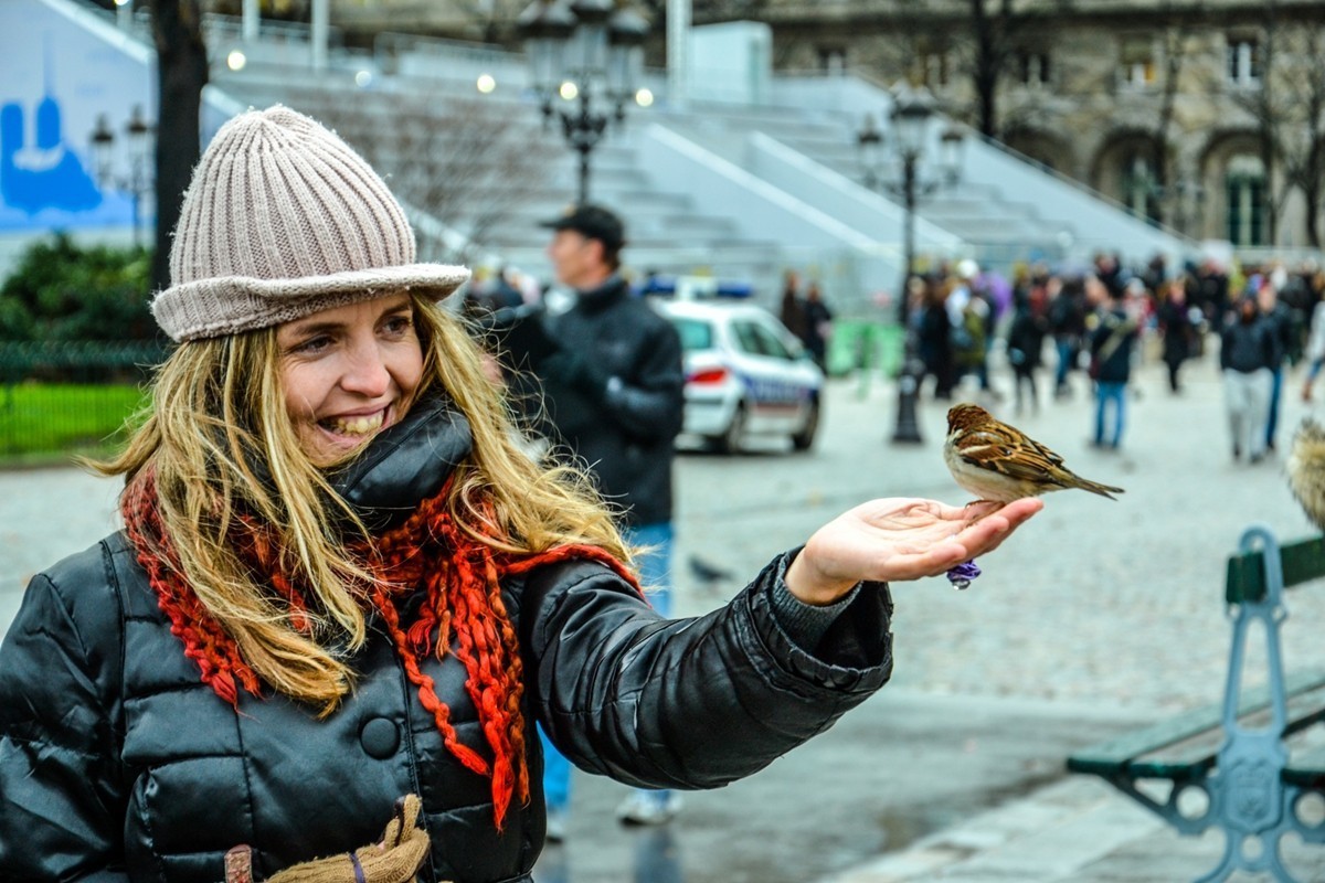 “巴黎圣母院”记忆--祝师友新年快乐！！！