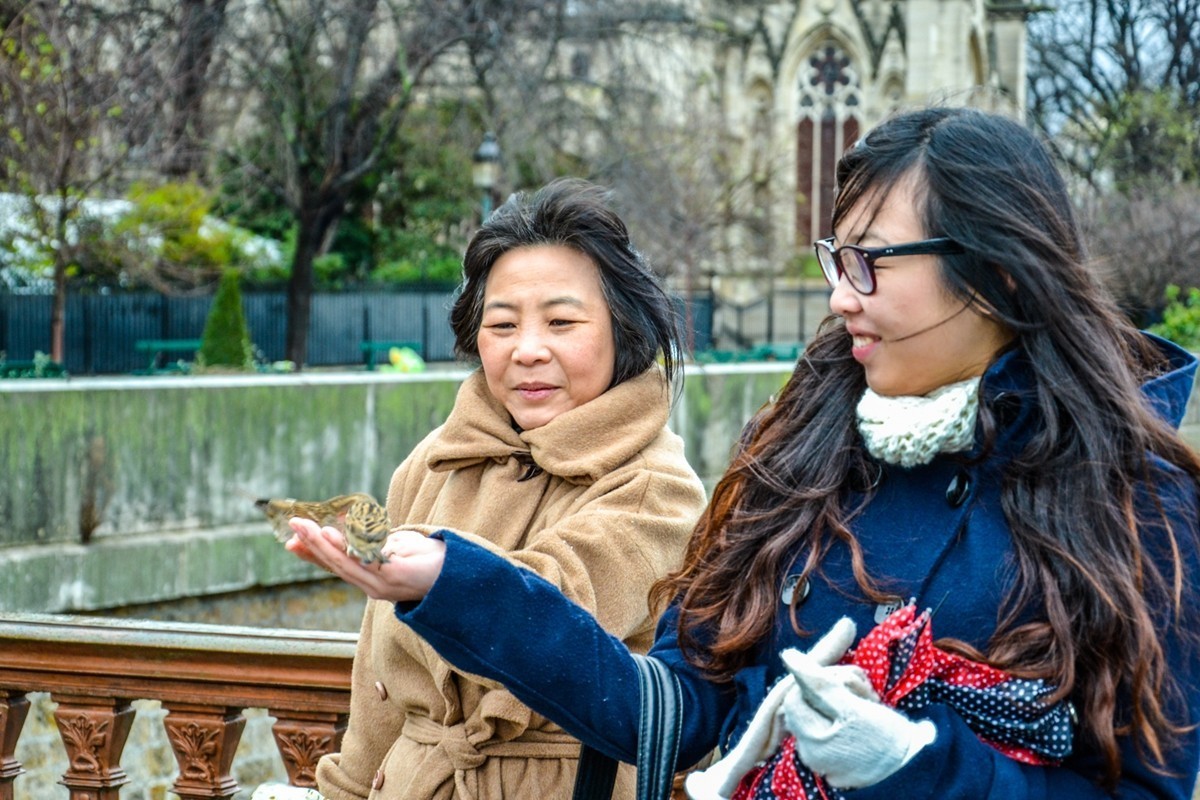 “巴黎圣母院”记忆--祝师友新年快乐！！！