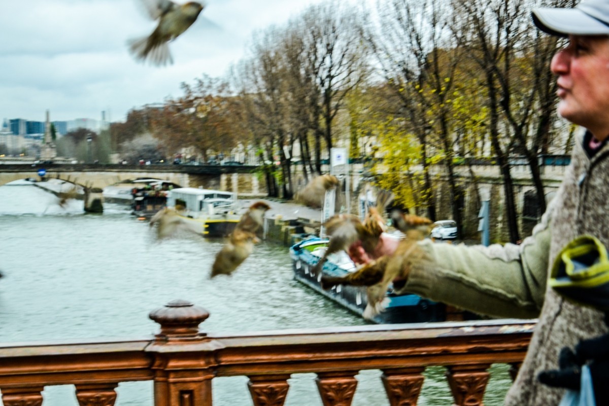 “巴黎圣母院”记忆--祝师友新年快乐！！！