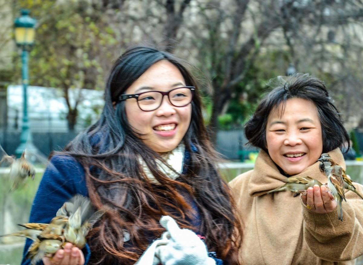 “巴黎圣母院”记忆--祝师友新年快乐！！！