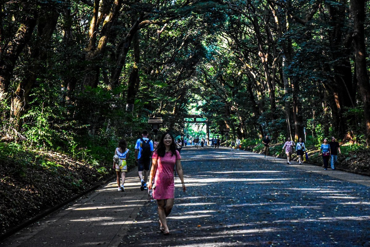 明治花园（日本）--祝师友新年快乐！！！