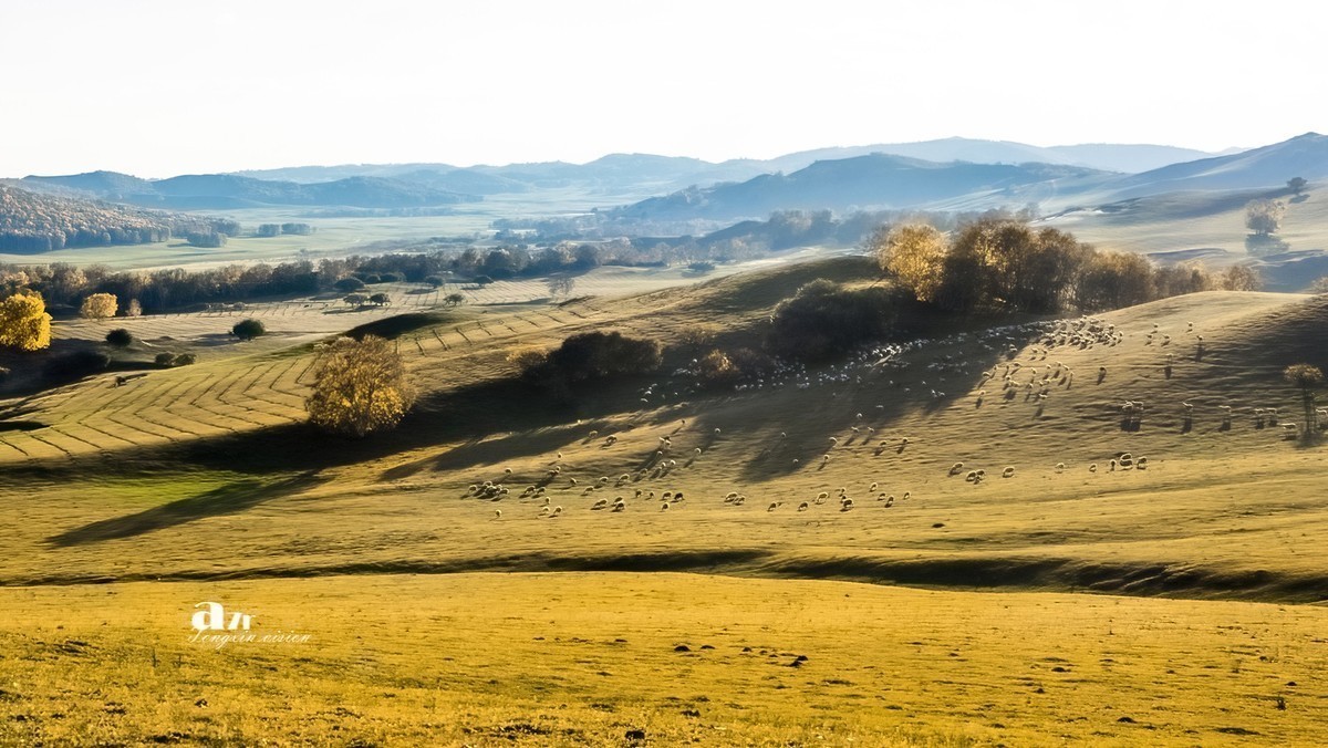 #版主坐堂#索尼大版星空(中国)2024年 12 月份优秀作品精选汇总