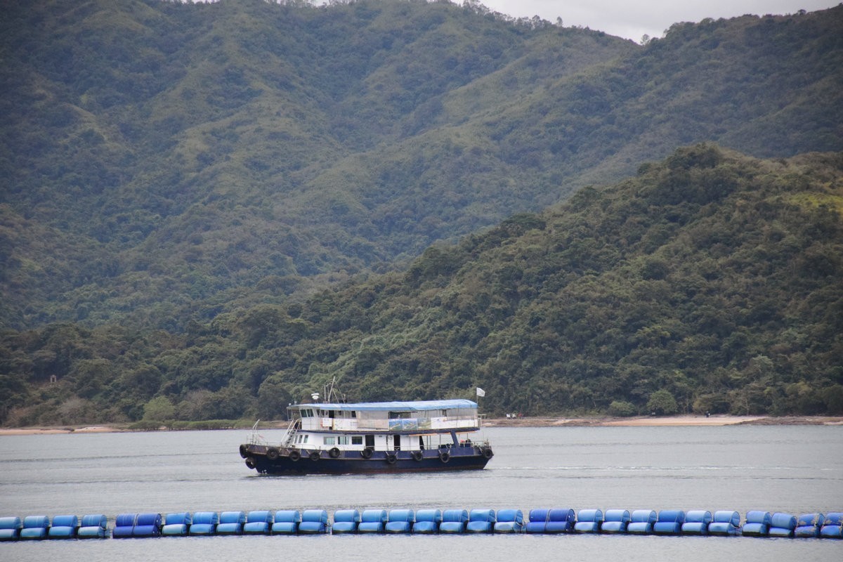 2025春节 广东行（112）香港沙头角码头