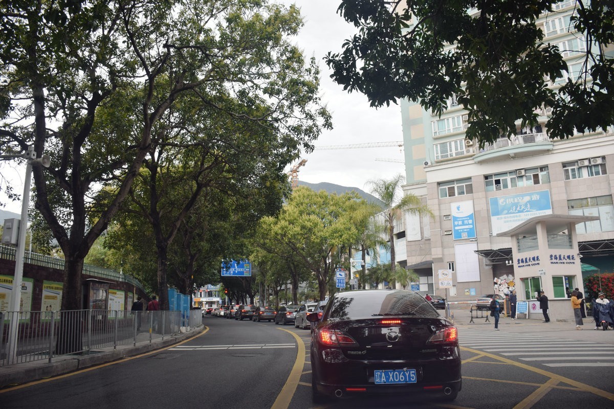 2025春节 广东行（113）南望香港村庄