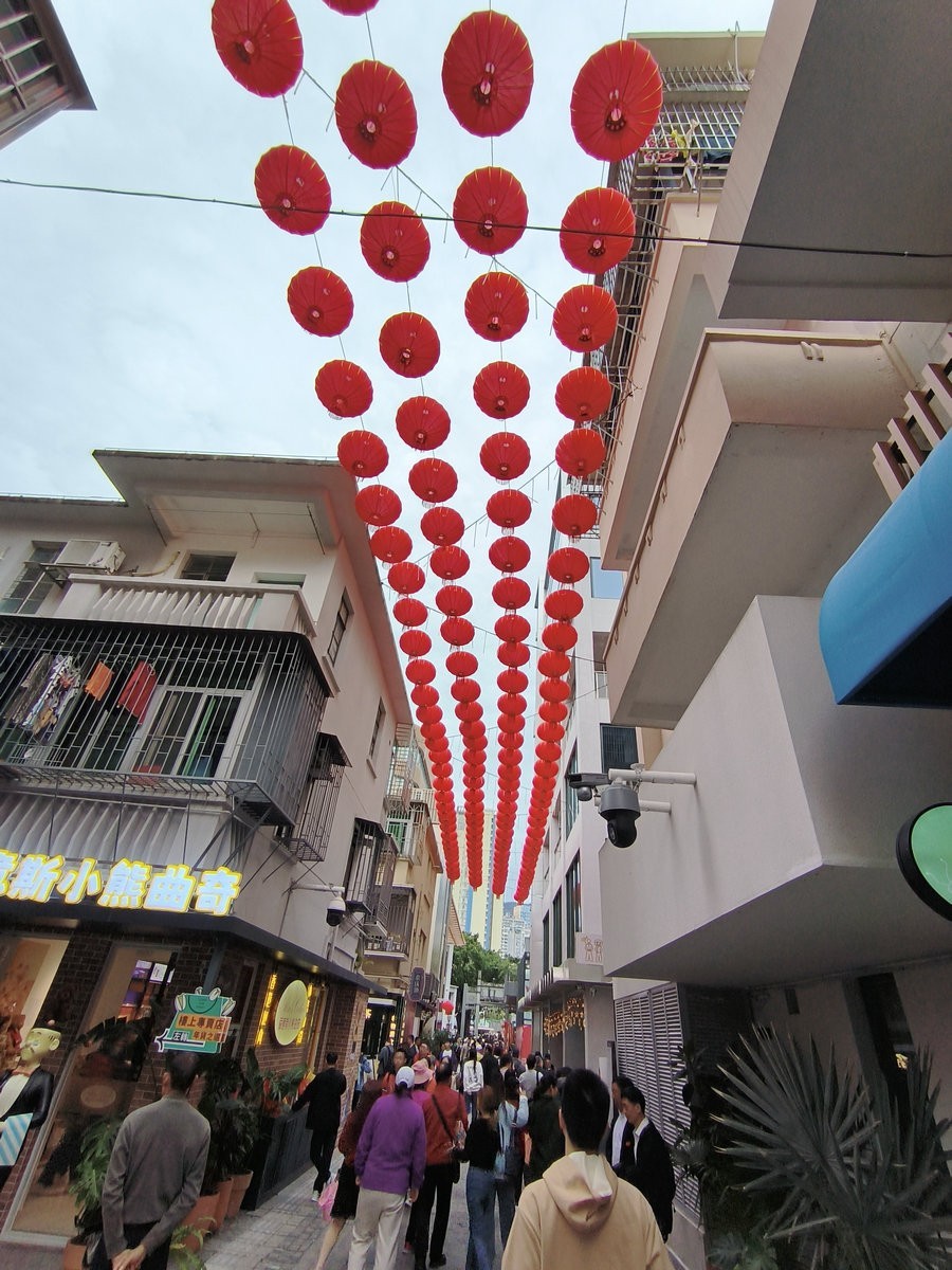 2025春节 广东行（113）南望香港村庄