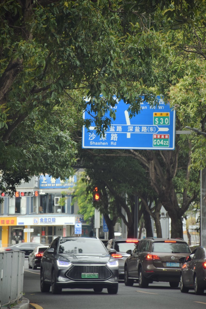 2025春节 广东行（113）南望香港村庄