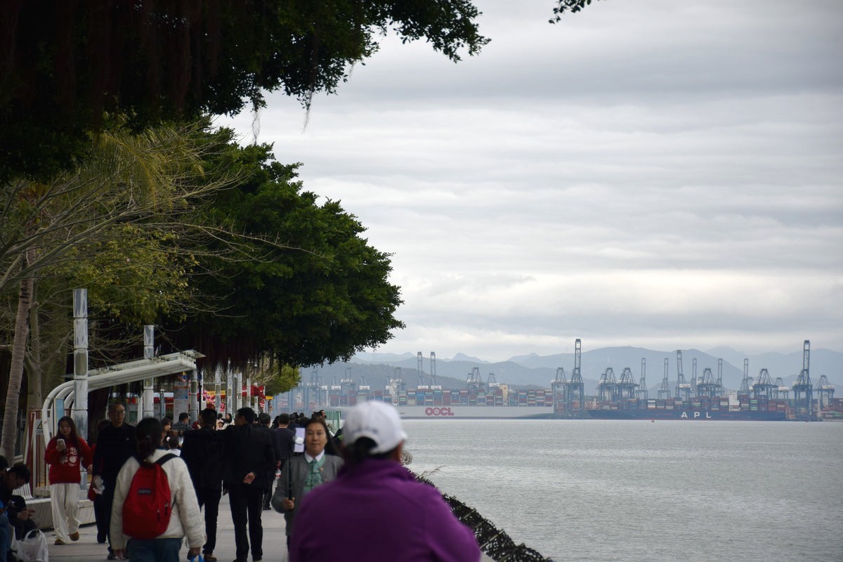 2025春节 广东行（113）南望香港村庄