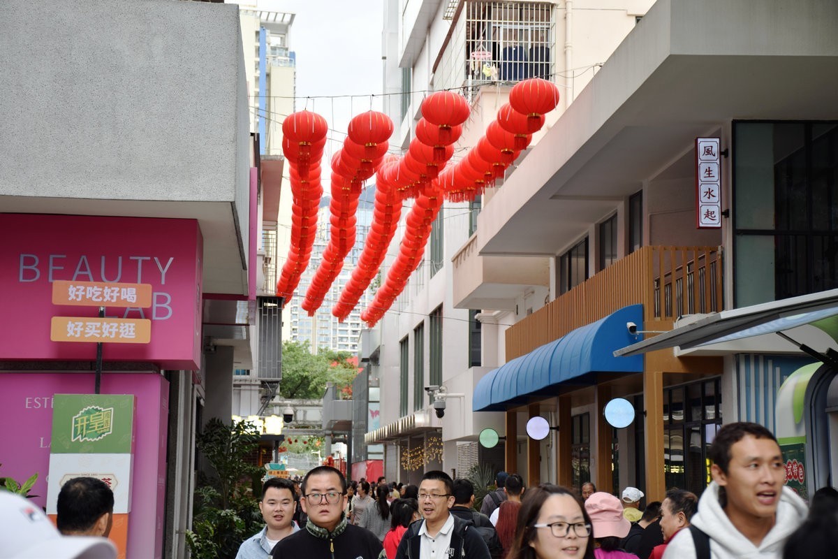 2025春节 广东行（113）南望香港村庄