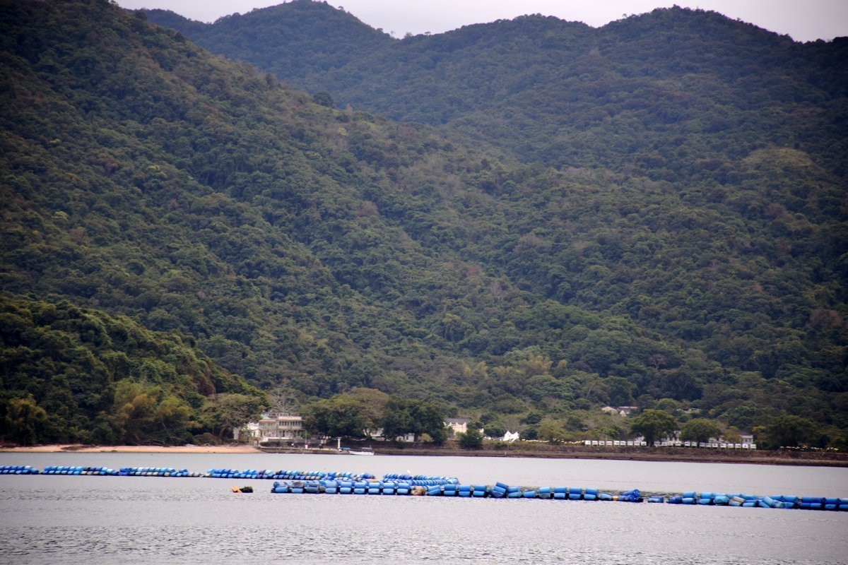 2025春节 广东行（113）南望香港村庄