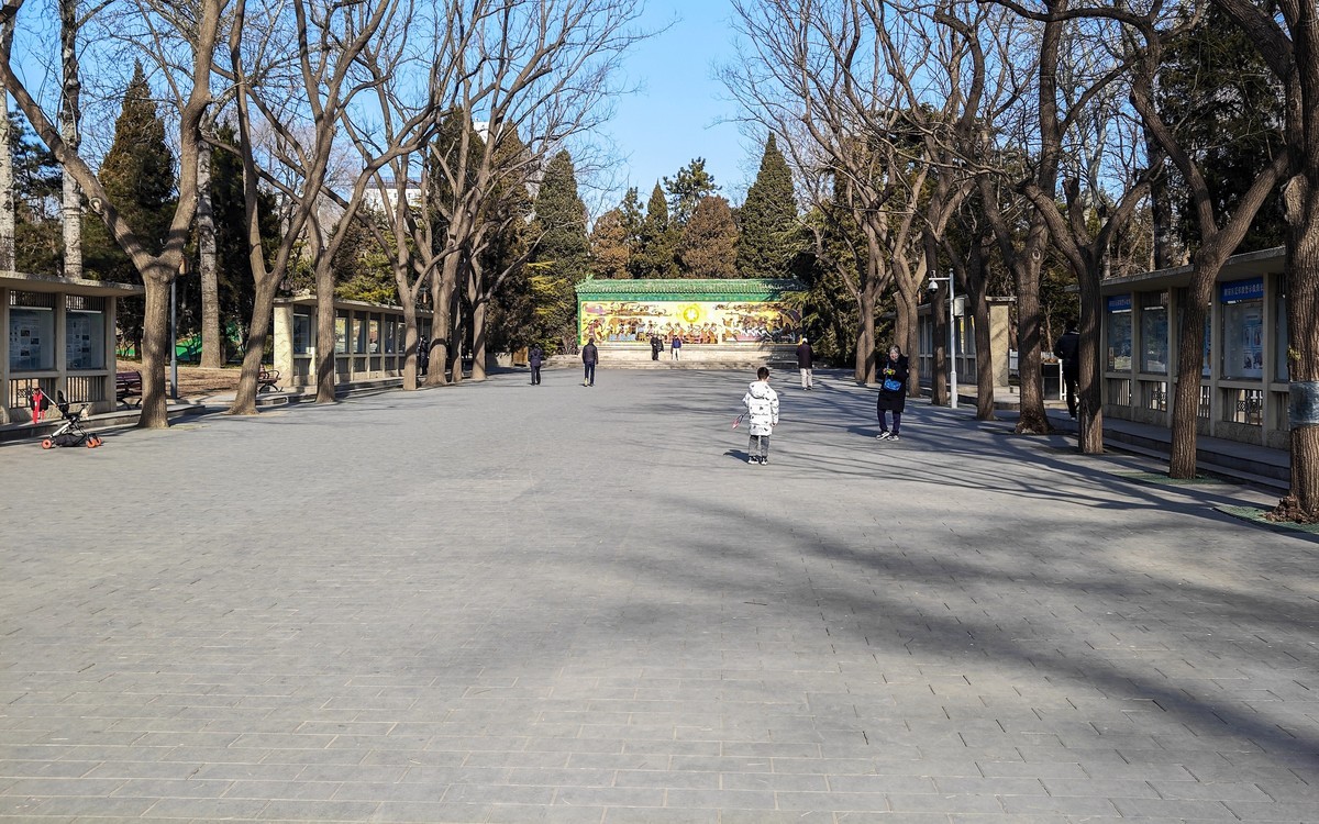 手机游拍20250121《7》