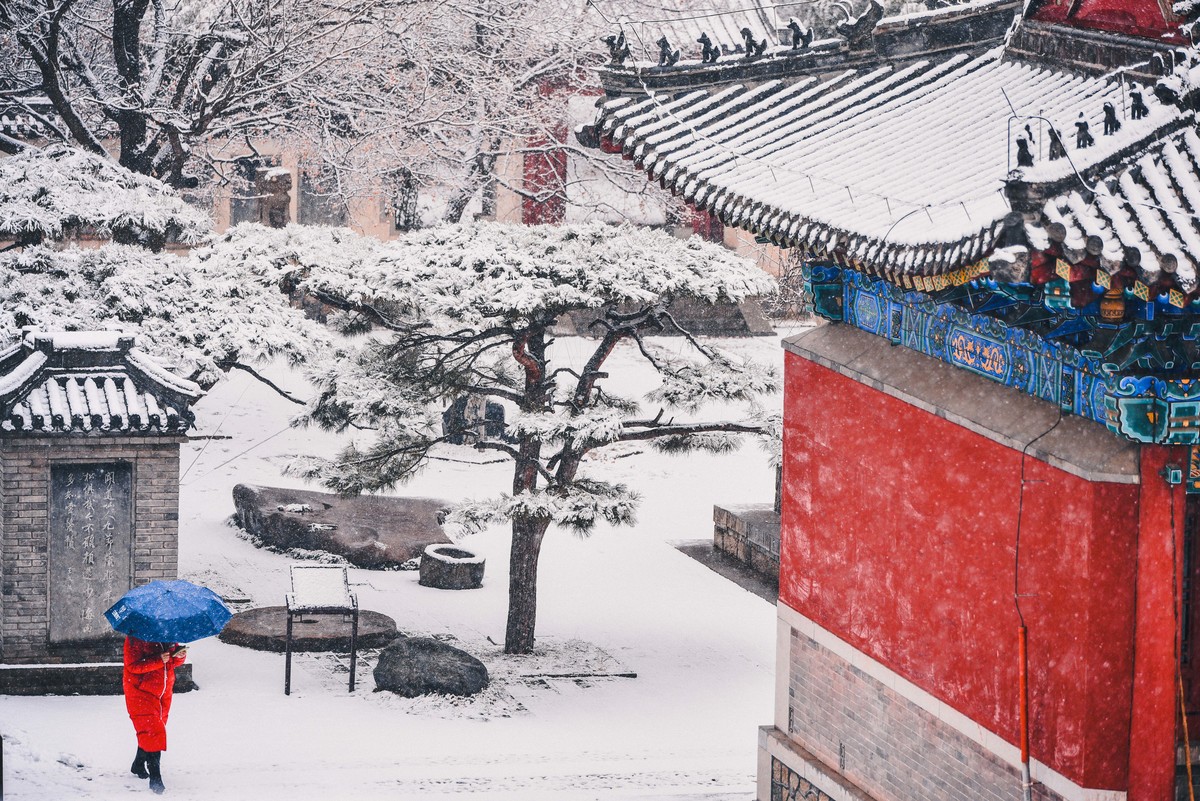 岱庙初雪