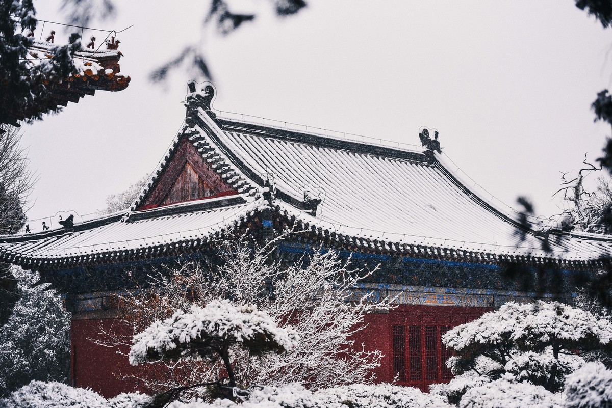 岱庙初雪
