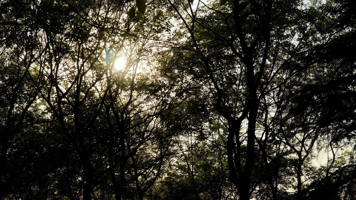 蚌埠张公山公园杂拍