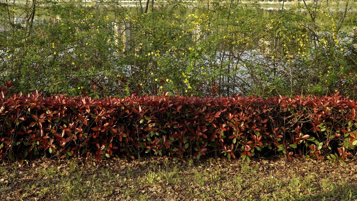 蚌埠张公山公园杂拍