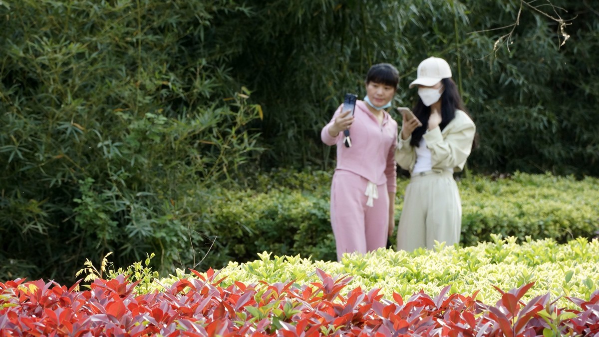 蚌埠张公山公园杂拍