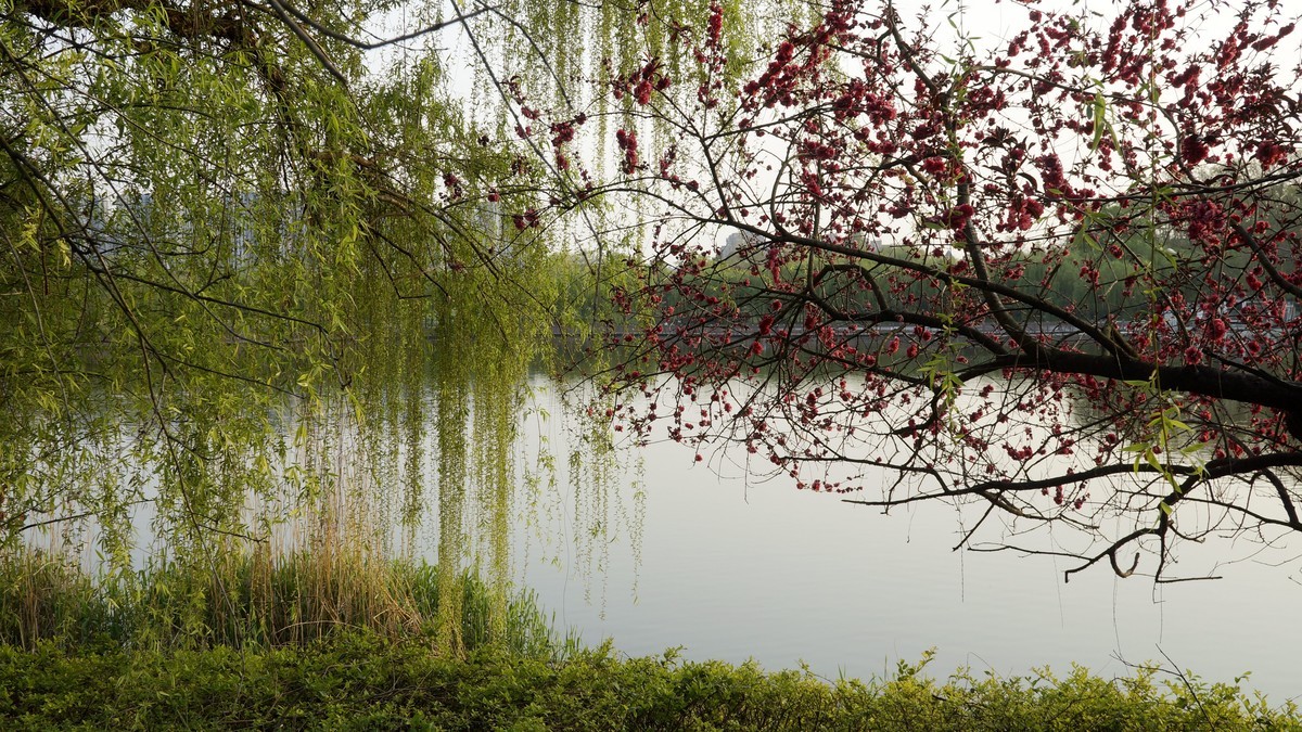蚌埠张公山公园杂拍