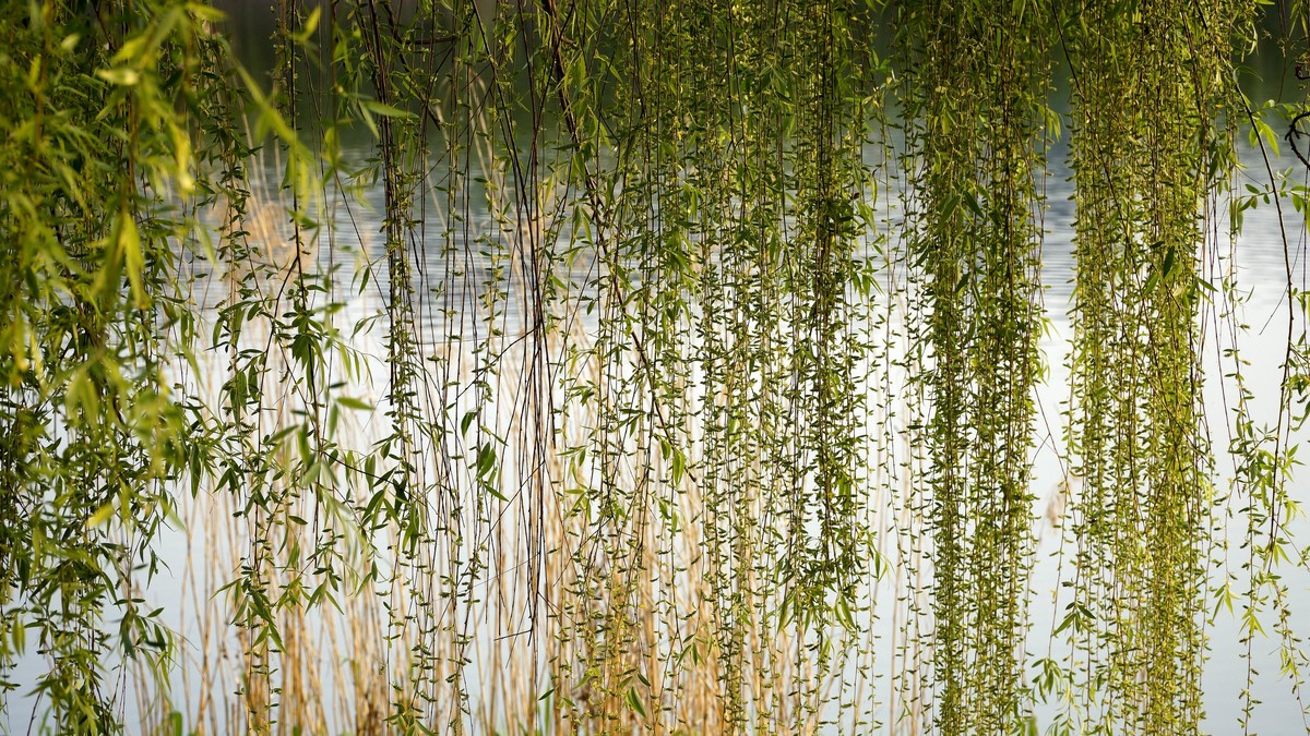 蚌埠张公山公园杂拍