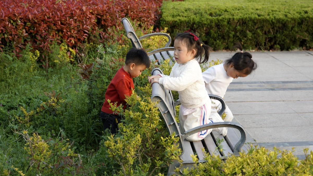 蚌埠张公山公园杂拍