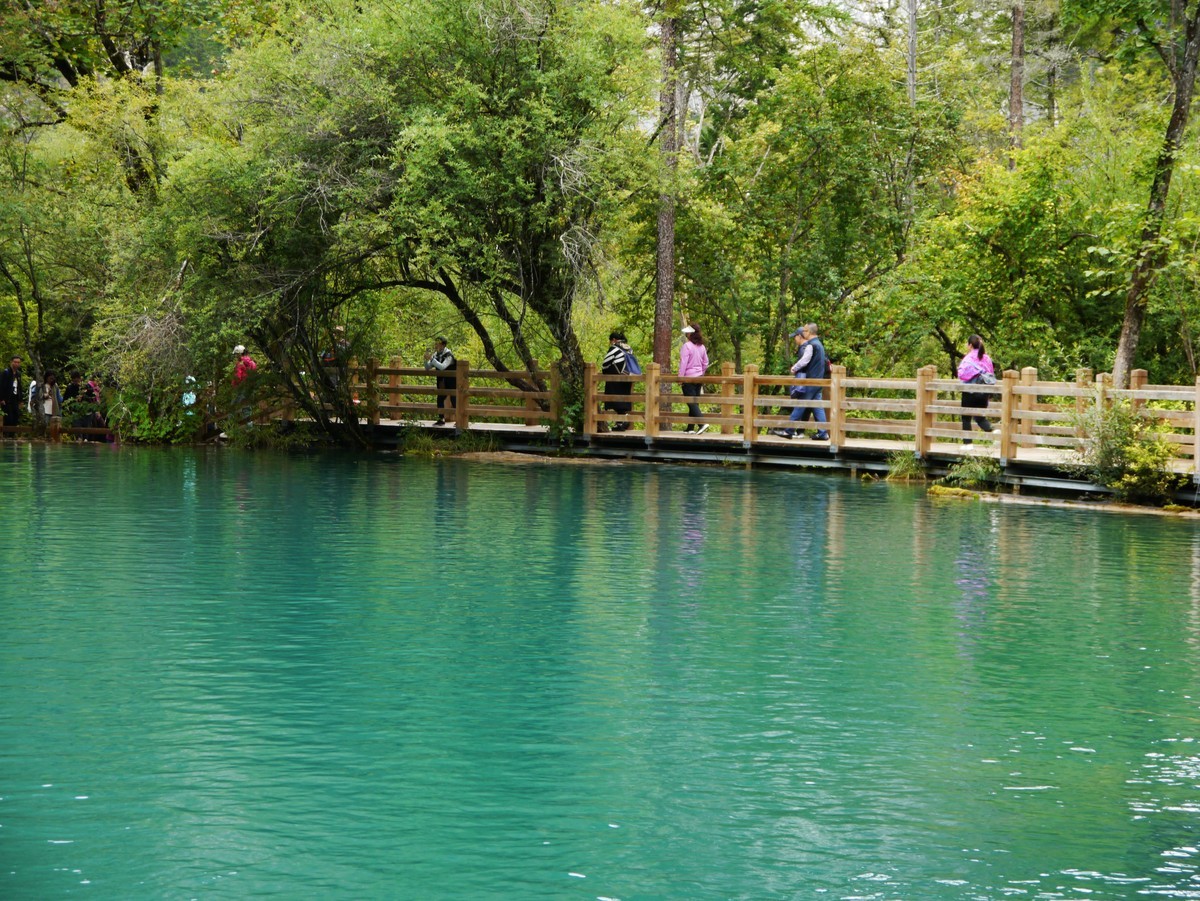 人间仙境 水中贵族---九寨沟（2）