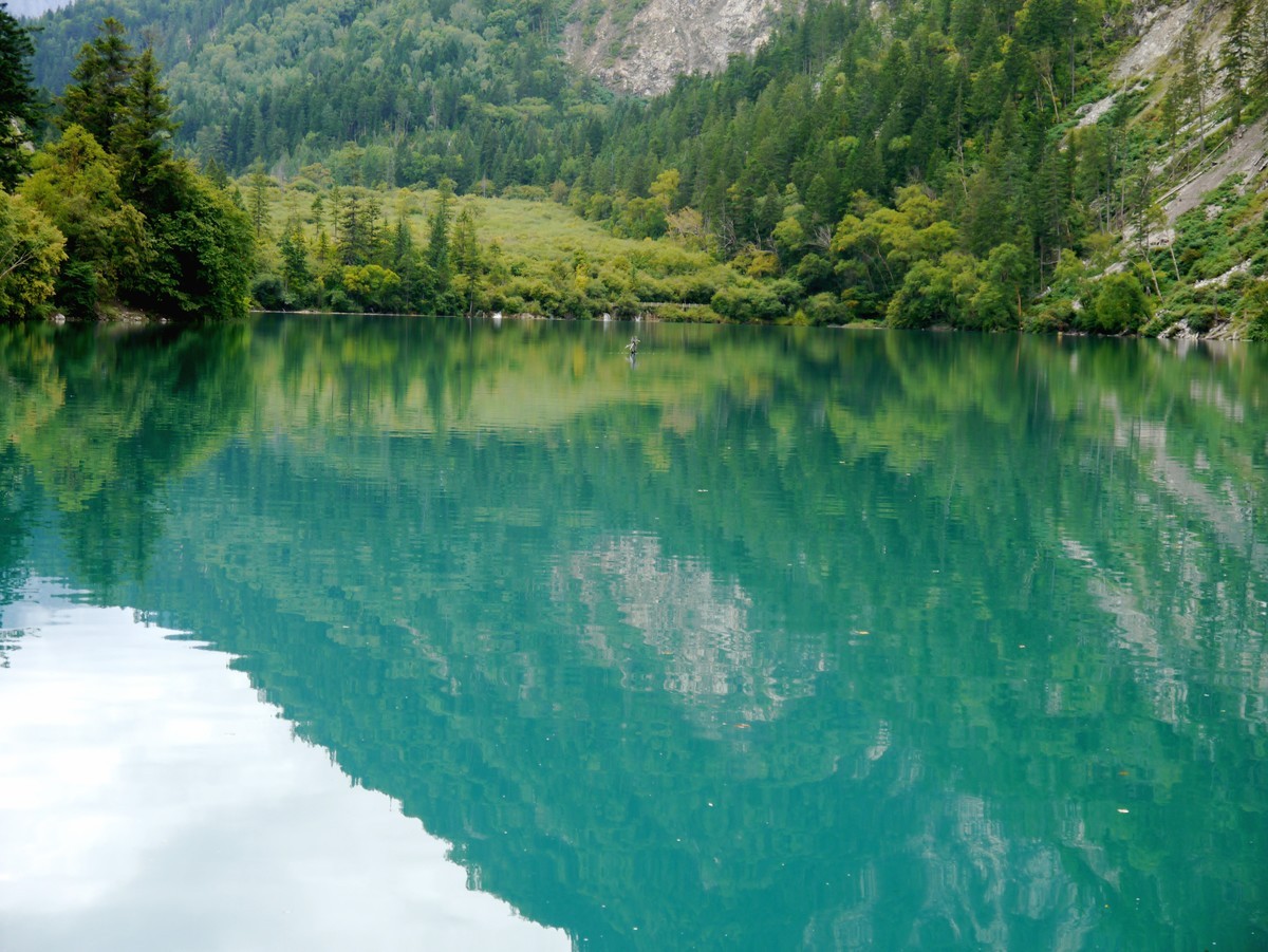 人间仙境 水中贵族---九寨沟（2）