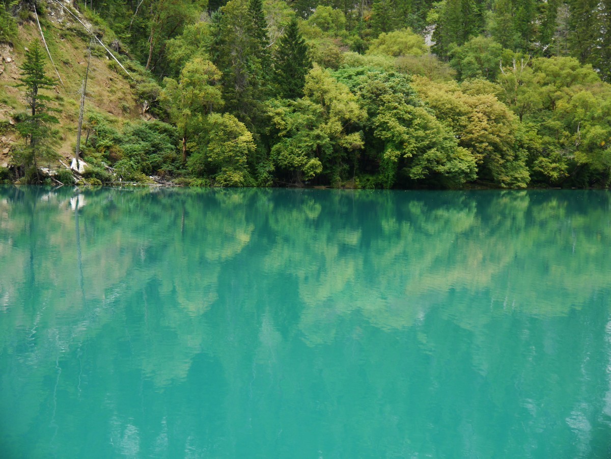 人间仙境 水中贵族---九寨沟（2）