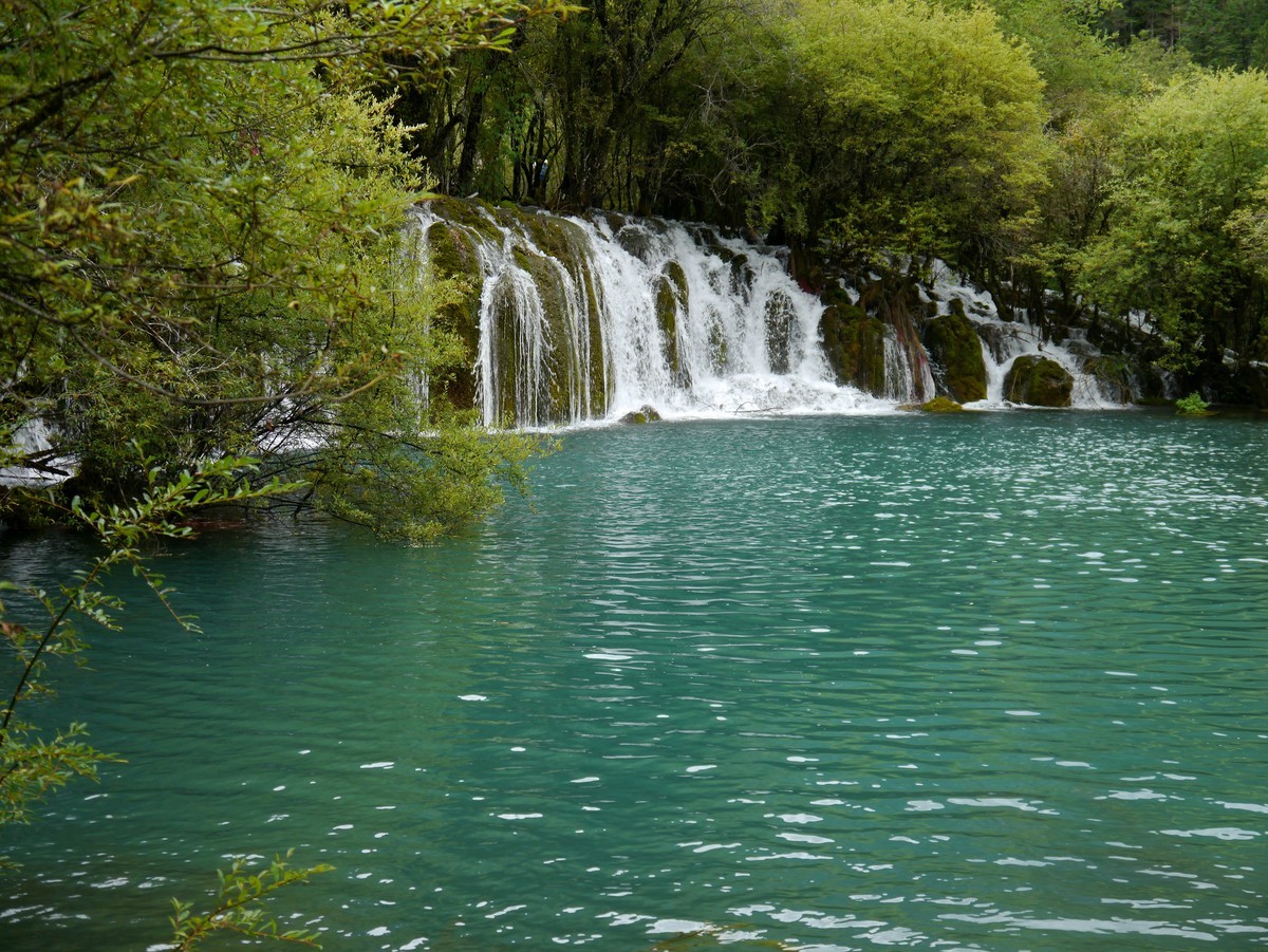 人间仙境 水中贵族---九寨沟（2）