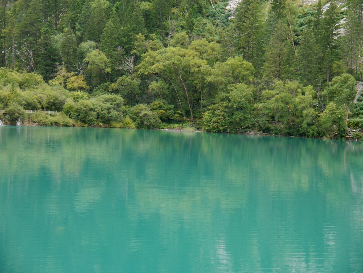 人间仙境 水中贵族---九寨沟（2）