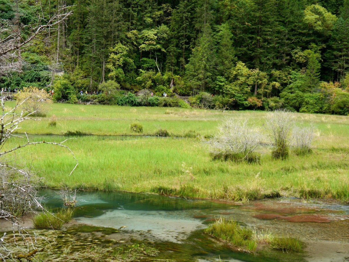 人间仙境  水中贵族---九寨沟（1）