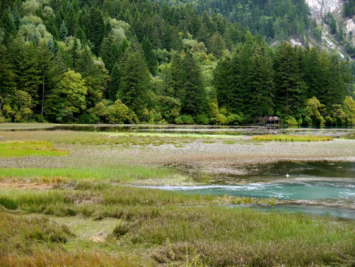 人间仙境  水中贵族---九寨沟（1）