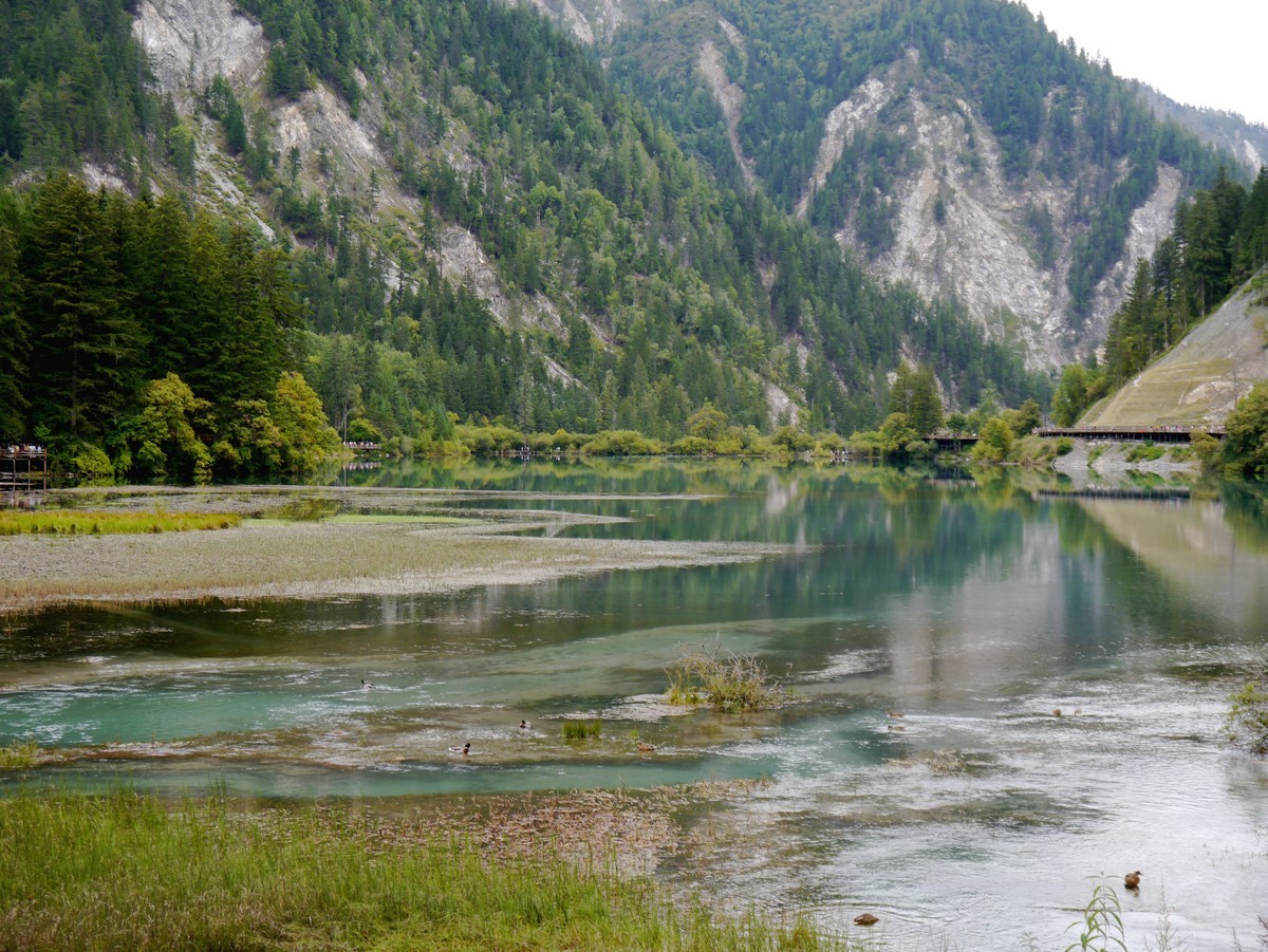 人间仙境  水中贵族---九寨沟（1）
