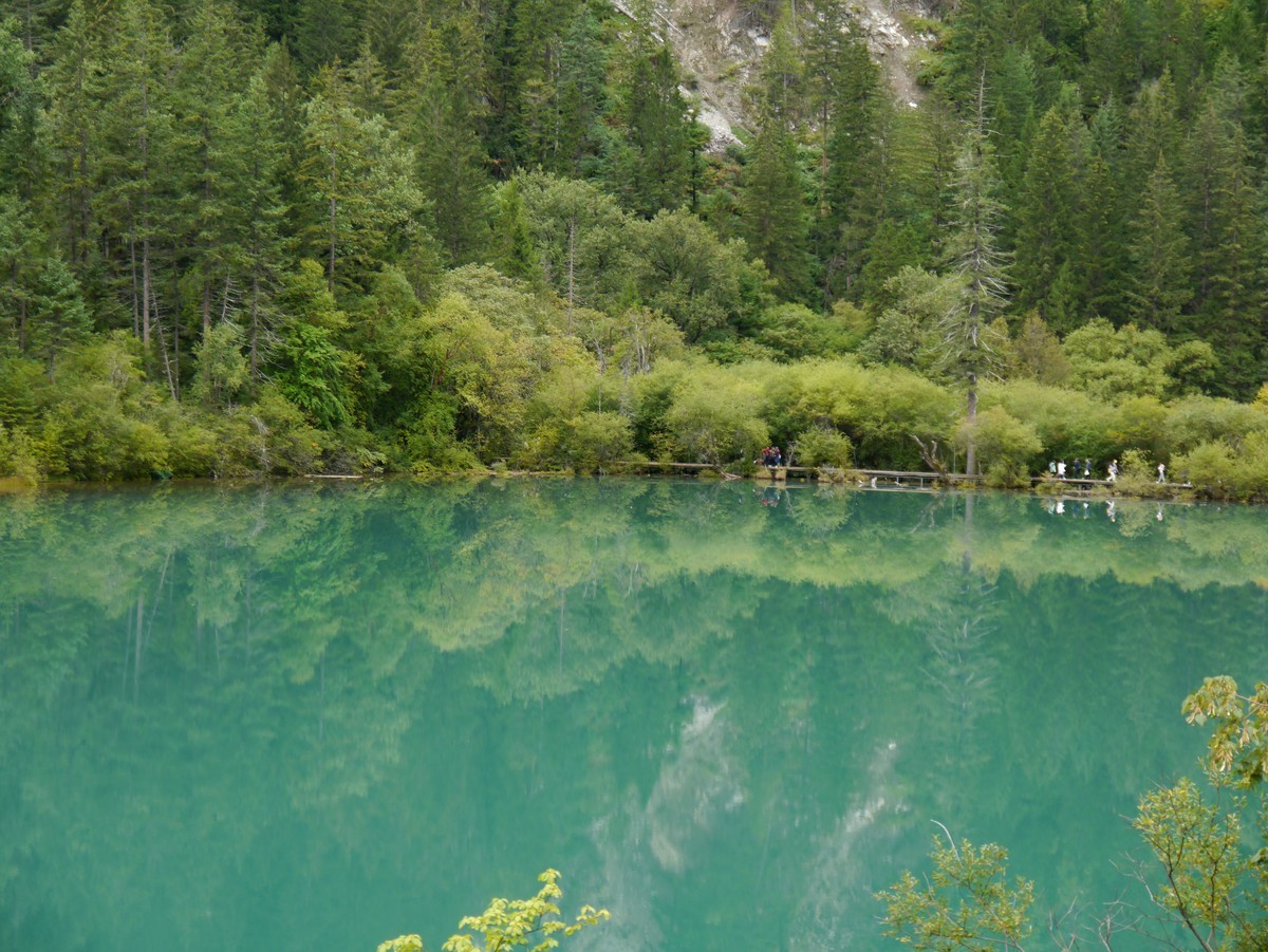人间仙境  水中贵族---九寨沟（1）