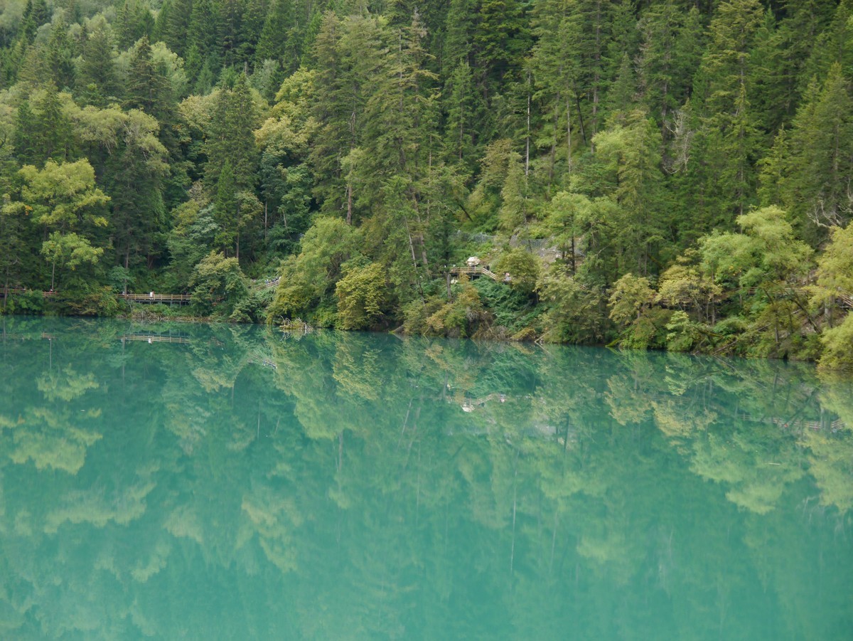 人间仙境 水中贵族---九寨沟（2）