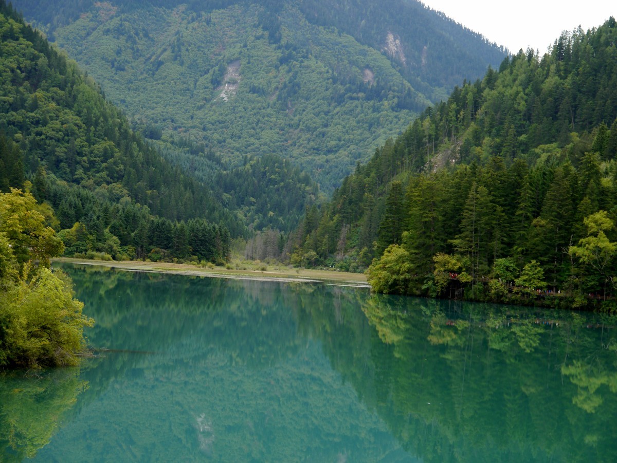 人间仙境 水中贵族---九寨沟（2）