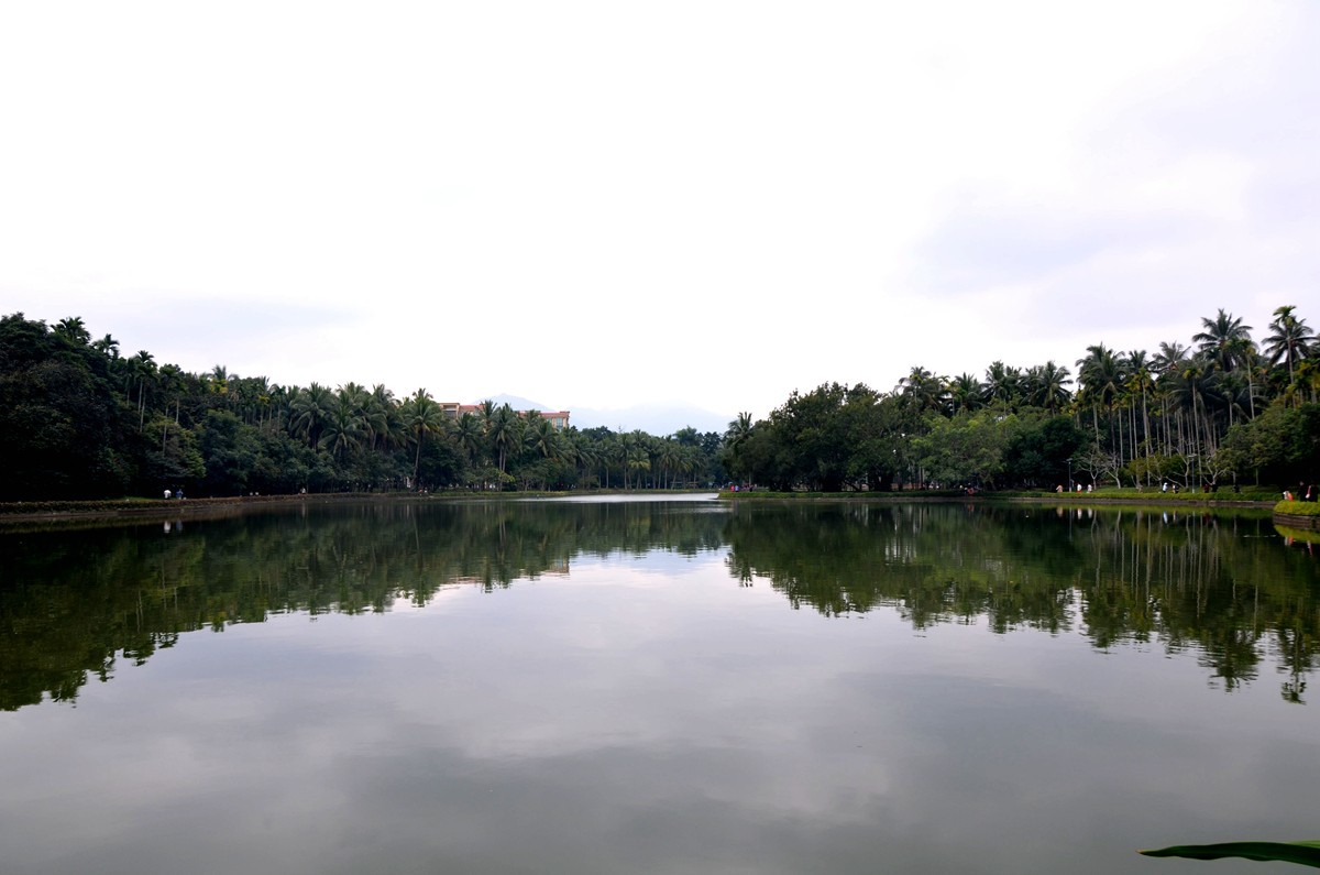 海南 兴隆热带植物园 (二)