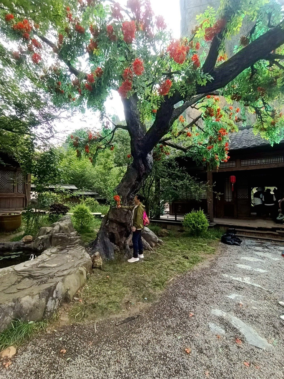 丽水——缙云仙都（3）