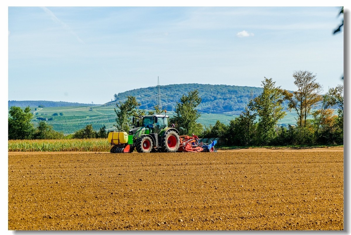 秋色原野（南德）
