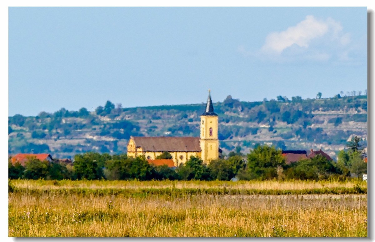 秋色原野（南德）
