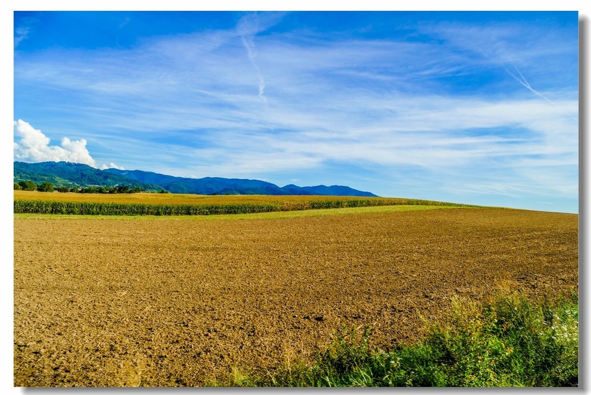 秋色原野（南德）