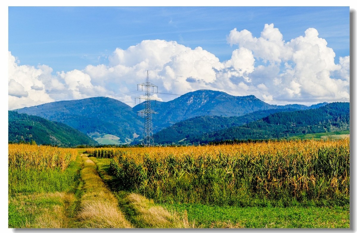 秋色原野（南德）